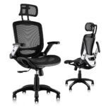GABRYLLY Ergonomic Mesh Office Chair (Black)